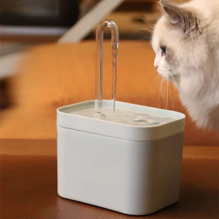 Pet Water Dispenser Fountain