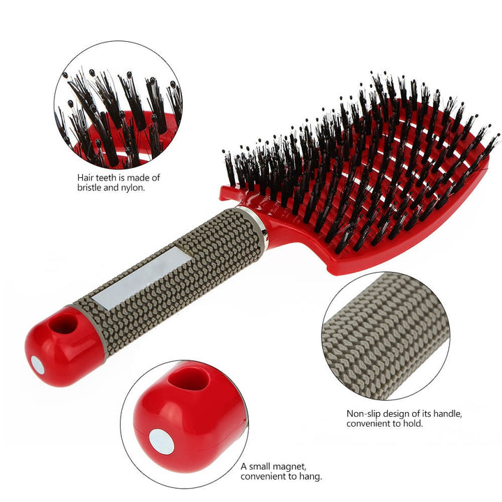 Hair Brush Scalp Curly Detangler